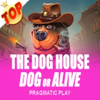 The Dog House – Dog or Alive  