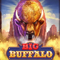 Big Buffalo